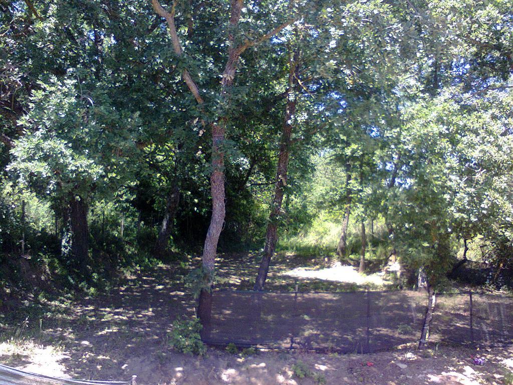 Agriturismo San Pietro Gangi Kültér fotó