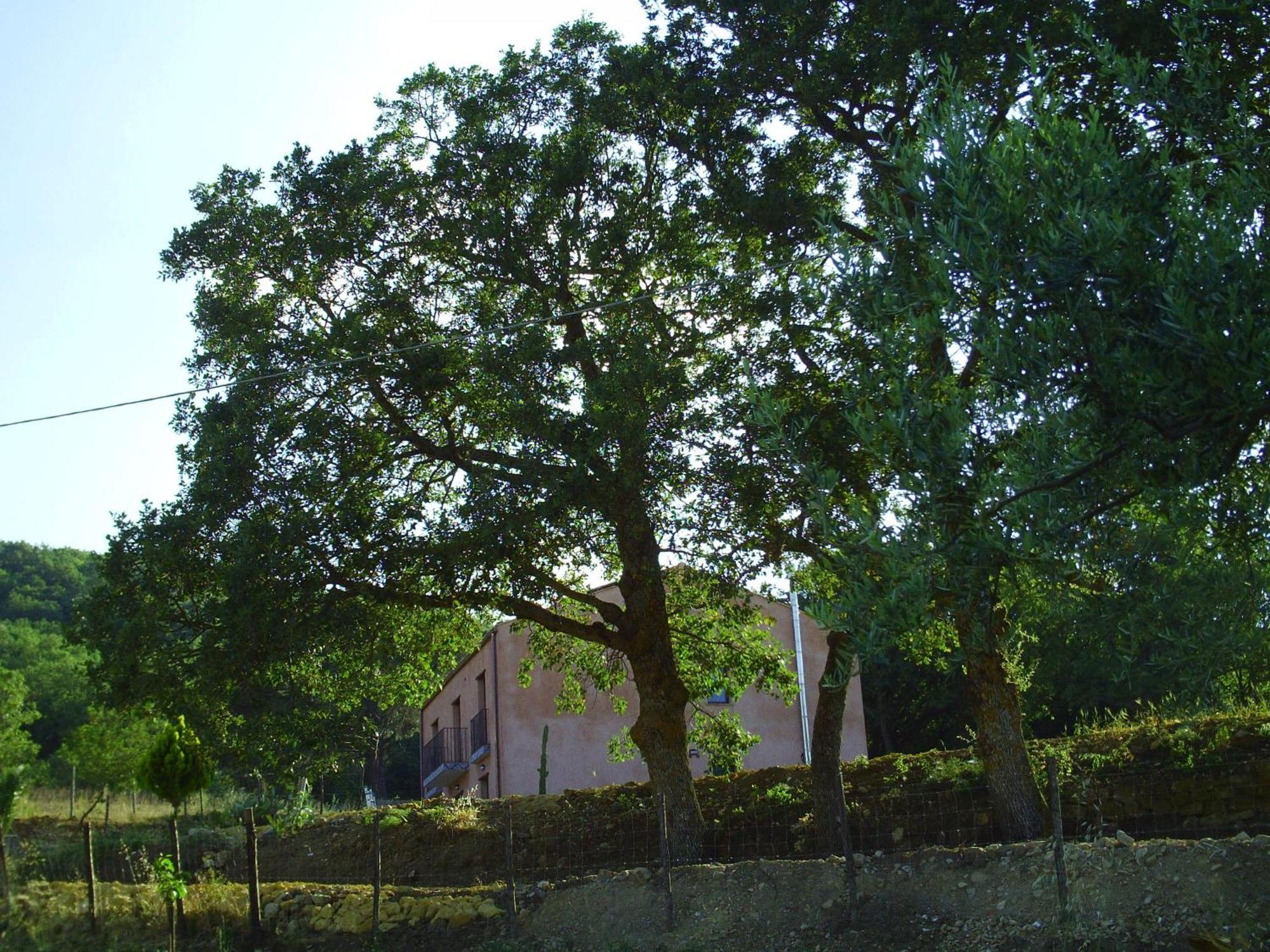 Agriturismo San Pietro Gangi Kültér fotó