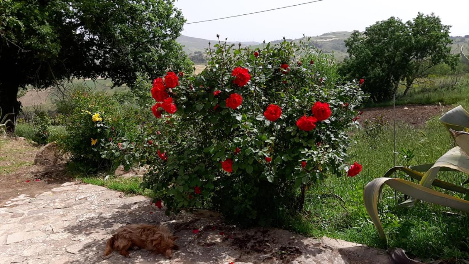 Agriturismo San Pietro Gangi Kültér fotó