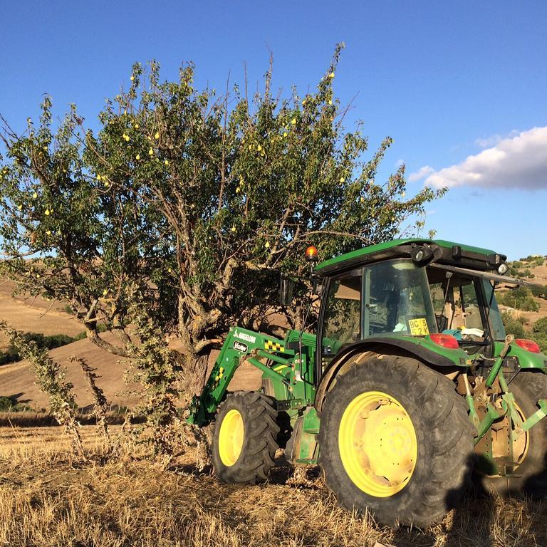 Agriturismo San Pietro Gangi Kültér fotó
