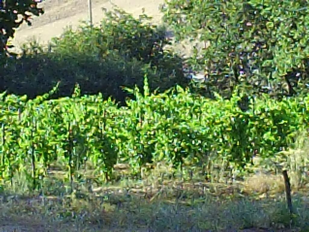 Agriturismo San Pietro Gangi Kültér fotó