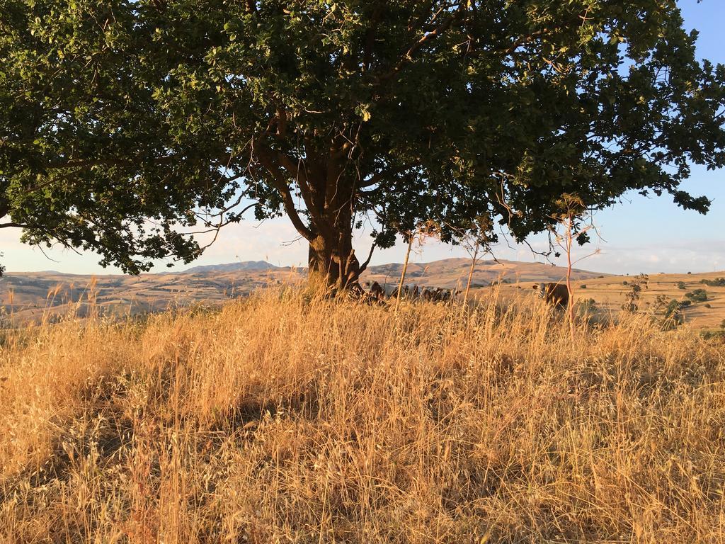 Agriturismo San Pietro Gangi Kültér fotó